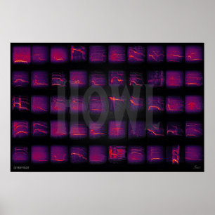 Howl: The Secret Language of Wolves Poster