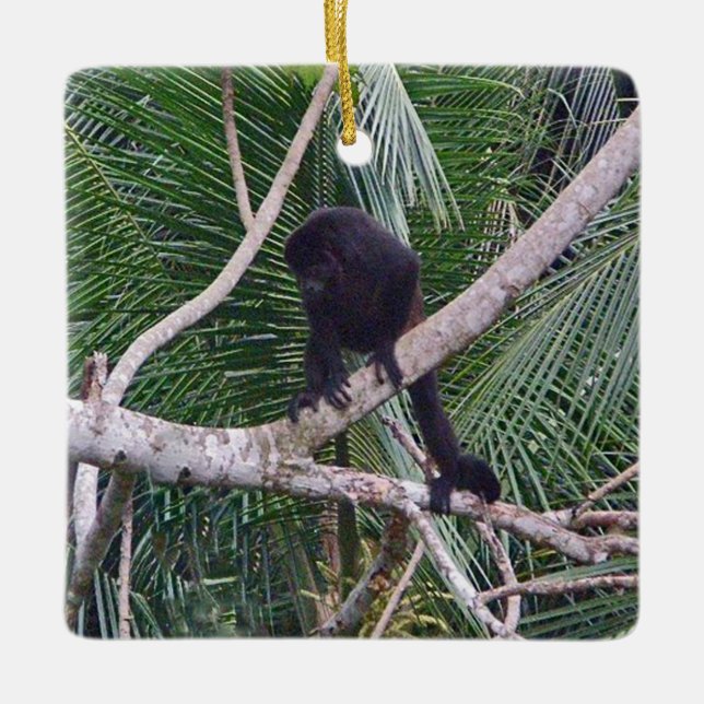 Howler Monkey and Baby Monkey in Costa Rica Jungle Ceramic Ornament (Front)
