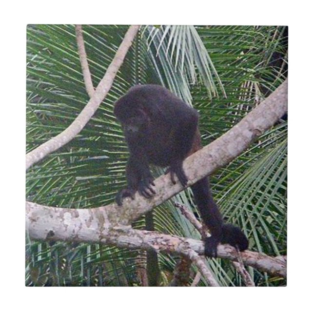 Howler Monkey and Baby Monkey in Costa Rica Jungle Ceramic Tile (Front)