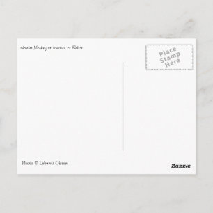 Howler Monkey, Belise Postcard