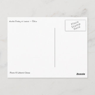 Howler Monkey, Belise Postcard