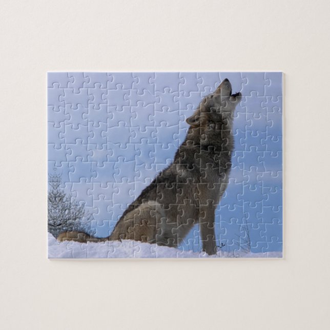 Howling Alaskan Timber Wolf Jigsaw Puzzle (Horizontal)