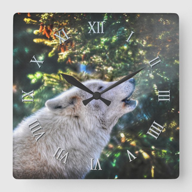 Howling Arctic Grey Wolf Photo Portrait Square Wall Clock (Front)