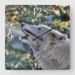 Howling Arctic Grey Wolf Portrait Square Wall Clock