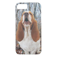 Howling Basset Hound in the Woods
