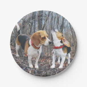 Howling Beagle & friend in Woods Paper Plate