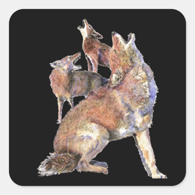Howling Coyote Pack, Animal, Nature  Wildlife Square Sticker (Front)