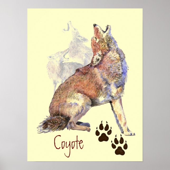 Howling Coyote Poster (Front)