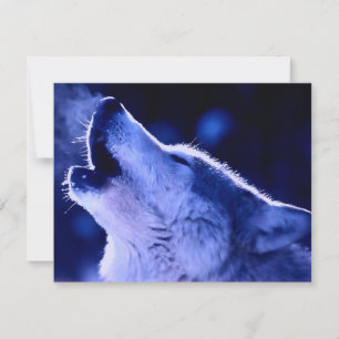 Howling Wolf