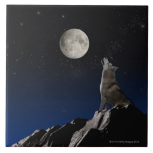 Howling Wolf Ceramic Tile