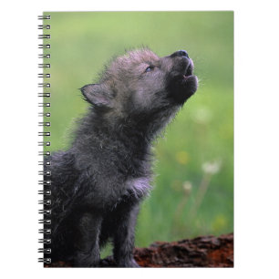 Howling Wolf Cub Notebook