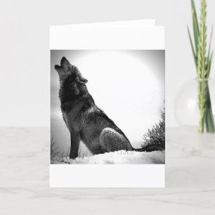 Howling Wolf in Snow Card