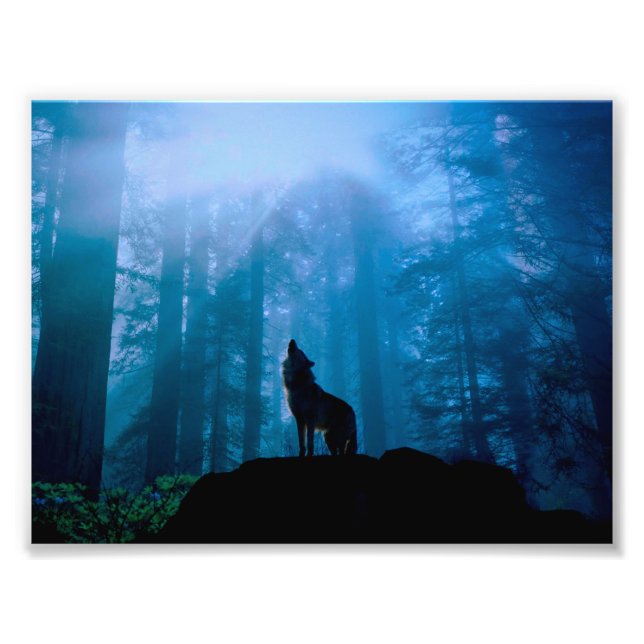 Howling Wolf in Wilderness Photo Print (Front)
