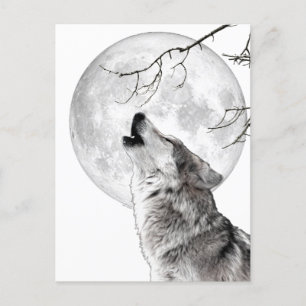 Howling Wolf, Moon, Gothic, Nature Postcard