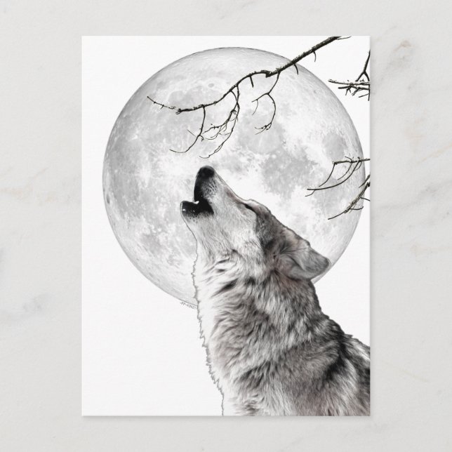 Howling Wolf, Moon, Gothic, Nature Postcard (Front)