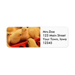 How's the cuisine return address label