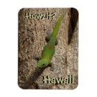 Howzit Hawaii gecko tropical rectangle magnet