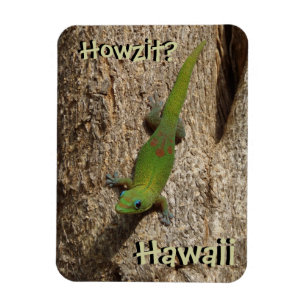 Howzit Hawaii gecko tropical rectangle magnet