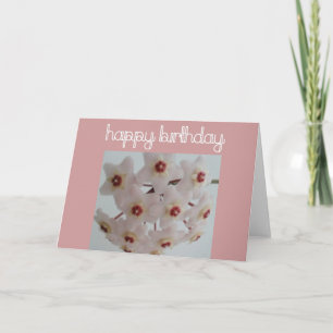 Hoya Flower Birthday Card