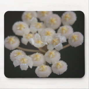 Hoya lacunosa Mousepad