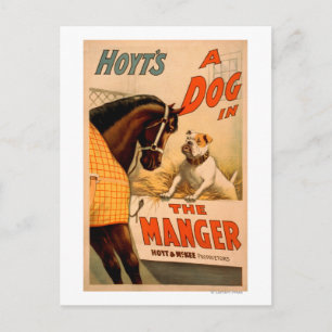Hoyt's A dog in the Manger Theatre Poster Holiday Postcard