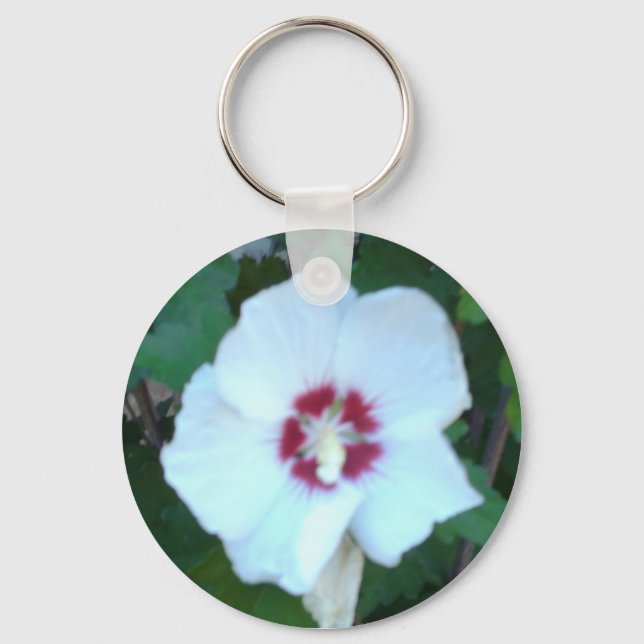 HPIM0580 KEY RING (Front)