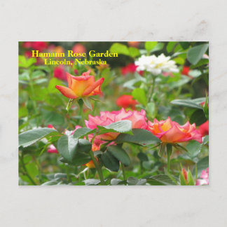 HRG Postcard  #300n 0300