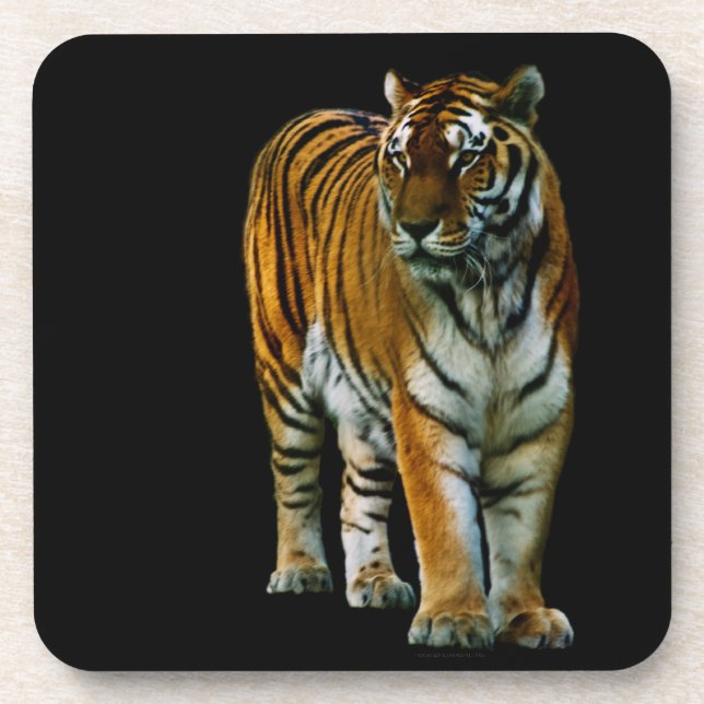 Hu Lin Cork Coaster (Front)