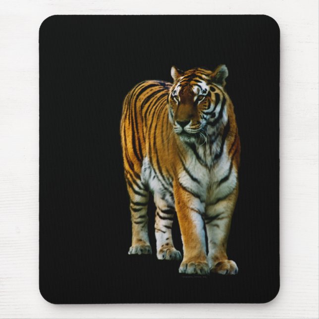 Hu Lin Mousepad (Front)