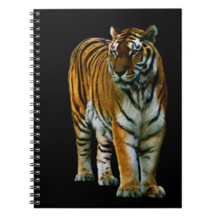 Hu Lin Notebook