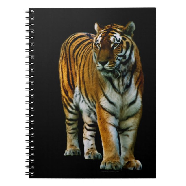 Hu Lin Notebook (Front)