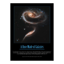 HUBBLE - A ROSE MADE of GALAXIES