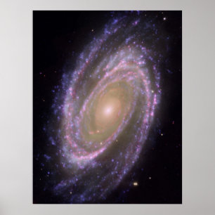 Hubble - Galex - Spitzer Composite Image of M81 Poster