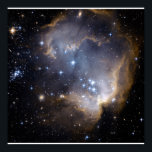 Hubble Observes Infant Stars in Nearby Galaxy Poster<br><div class="desc">Hubble Observes Infant Stars in Nearby Galaxy</div>