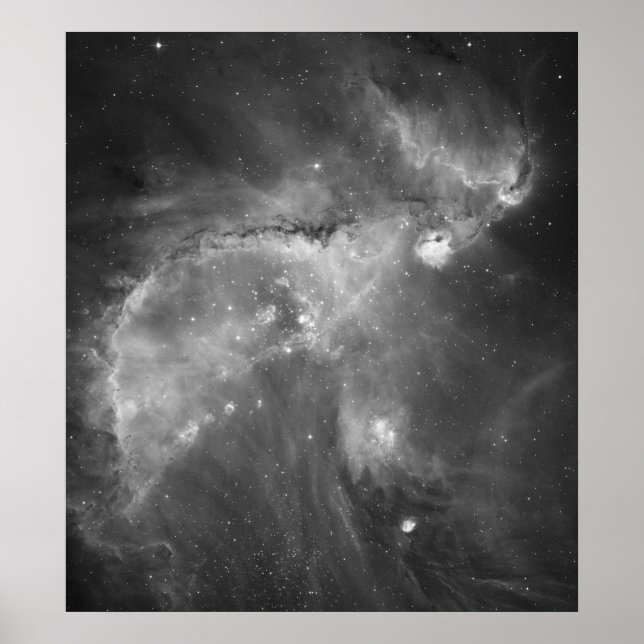 Hubble's Black and White View of the Universe Poster (Front)