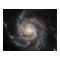 Hubble's Largest Galaxy Portrait 