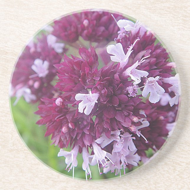 Hübsche lila Blumenkugel Coaster (Front)