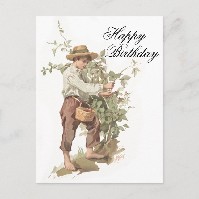 Huckleberry Finn Picking Berries Birthday Postcard (Front)