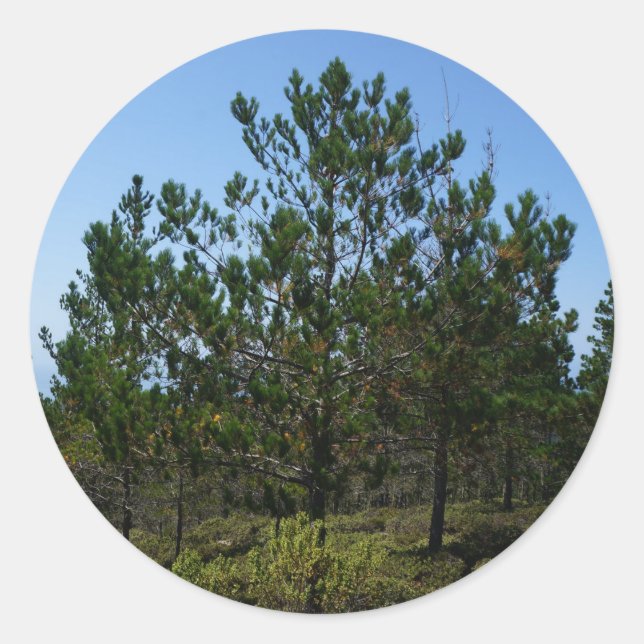 Huckleberry Hill Pebble Beach Stickers (Front)