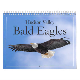 Hudson Valley Bald Eagles Calendar