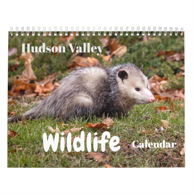 Hudson Valley Wildlife Calendar (Cover)