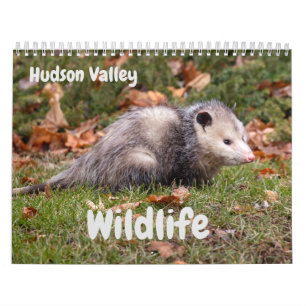 Hudson Valley  Wildlife Calendar