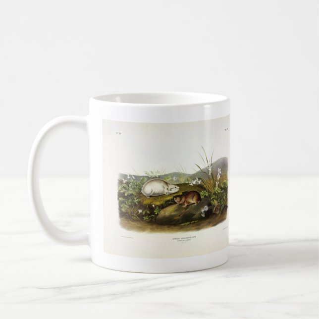 Hudson's Bay (Ungava Collared) Lemming by Audubon Coffee Mug (Left)