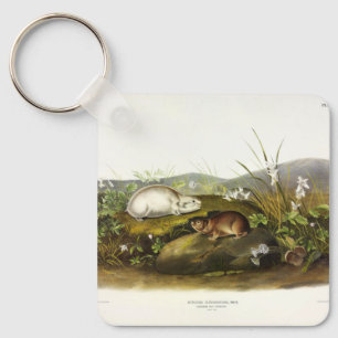 Hudson's Bay (Ungava Collared) Lemming by Audubon Key Ring