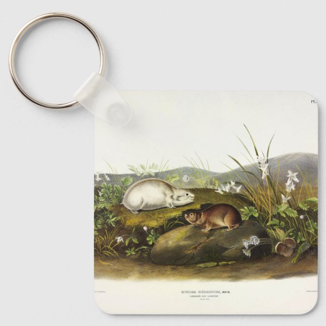 Hudson's Bay (Ungava Collared) Lemming by Audubon Key Ring (Front)