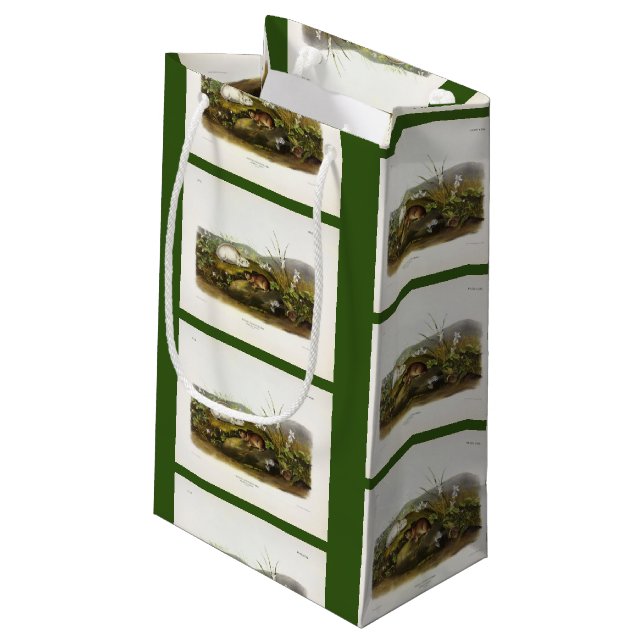 Hudson's Bay (Ungava Collared) Lemming by Audubon Small Gift Bag (Back Angled)