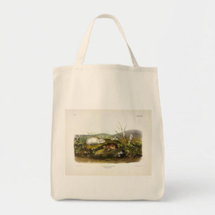 Hudson's Bay (Ungava Collared) Lemming by Audubon Tote Bag
