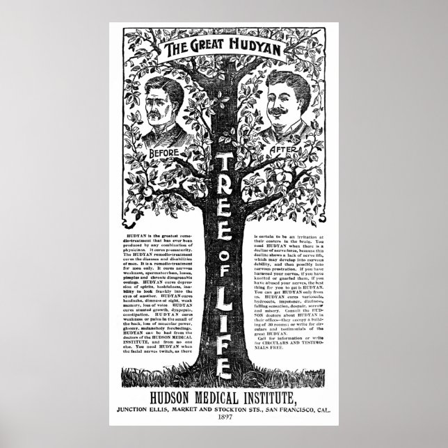 Hudyan Remedio Therapy - 1897 Poster (Front)