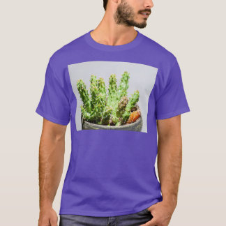 Huernia hystrix Porcupine Huernia T-Shirt