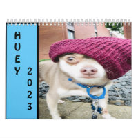 Huey 2023 Wall 